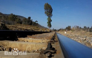 后大營(yíng)村益農信息站